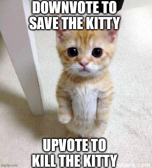 Reverse upvote begging | DOWNVOTE TO SAVE THE KITTY; UPVOTE TO KILL THE KITTY | image tagged in memes,cute cat | made w/ Imgflip meme maker