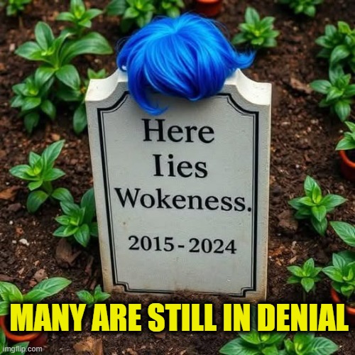 More Leftist Logic | MANY ARE STILL IN DENIAL | image tagged in woke | made w/ Imgflip meme maker