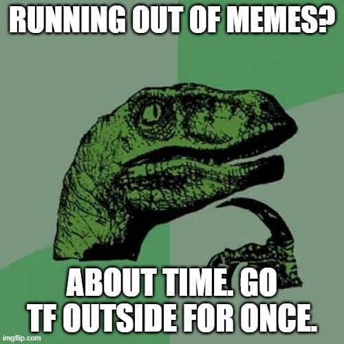 its too cold to go out tho :) | RUNNING OUT OF MEMES? ABOUT TIME. GO TF OUTSIDE FOR ONCE. | image tagged in memes,philosoraptor,funny | made w/ Imgflip meme maker