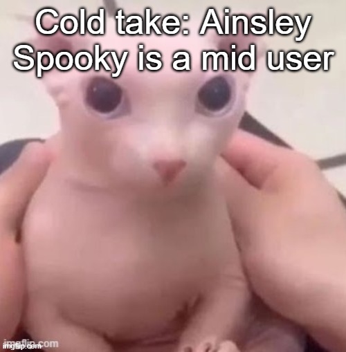 bingus | Cold take: Ainsley Spooky is a mid user | image tagged in bingus | made w/ Imgflip meme maker