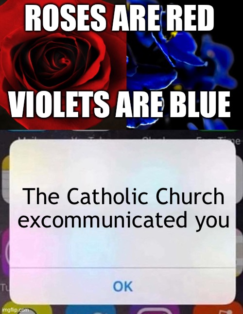 Idk man | ROSES ARE RED; VIOLETS ARE BLUE; The Catholic Church excommunicated you | image tagged in roses are red violets are blue,iphone notification | made w/ Imgflip meme maker