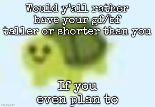 low quality turtle | Would y’all rather have your gf/bf taller or shorter than you; If you even plan to | image tagged in low quality turtle,msmg | made w/ Imgflip meme maker