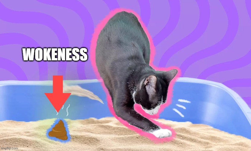 WOKENESS | made w/ Imgflip meme maker