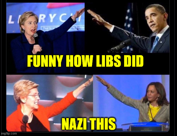 FUNNY HOW LIBS DID NAZI THIS | made w/ Imgflip meme maker