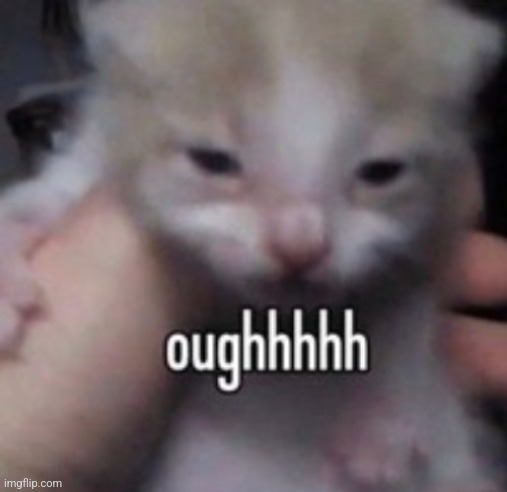 How I feel when Im having hot flashes and feeling dizzy and my mom makes me go to school | made w/ Imgflip meme maker