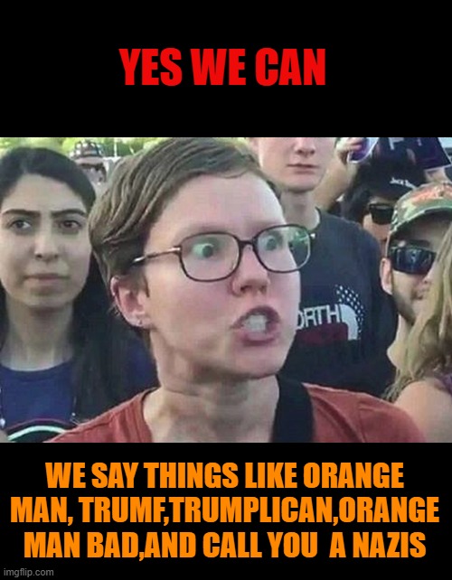 Triggered Liberal | YES WE CAN WE SAY THINGS LIKE ORANGE MAN, TRUMF,TRUMPLICAN,ORANGE MAN BAD,AND CALL YOU  A NAZIS | image tagged in triggered liberal | made w/ Imgflip meme maker