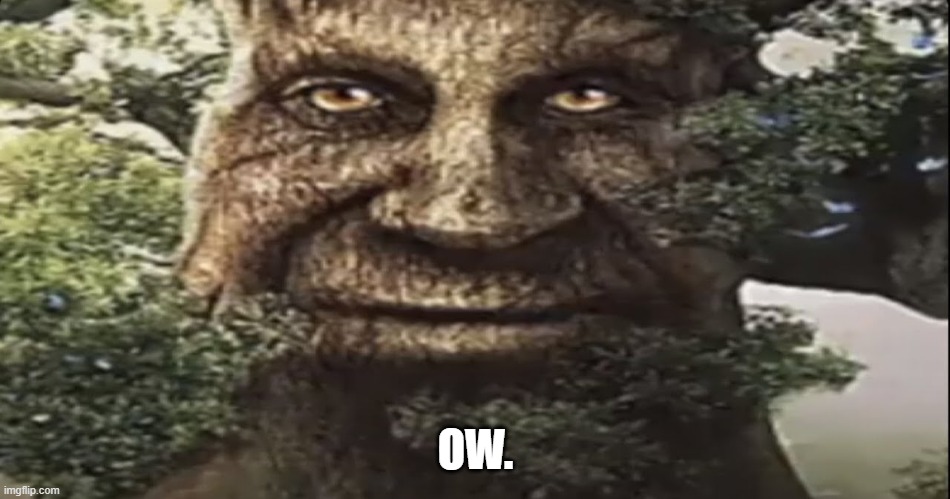 OW. | image tagged in wise mystical tree | made w/ Imgflip meme maker