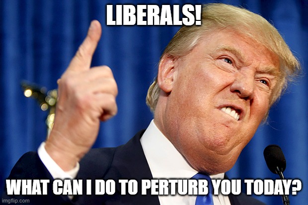 Donald Trump | LIBERALS! WHAT CAN I DO TO PERTURB YOU TODAY? | image tagged in donald trump | made w/ Imgflip meme maker