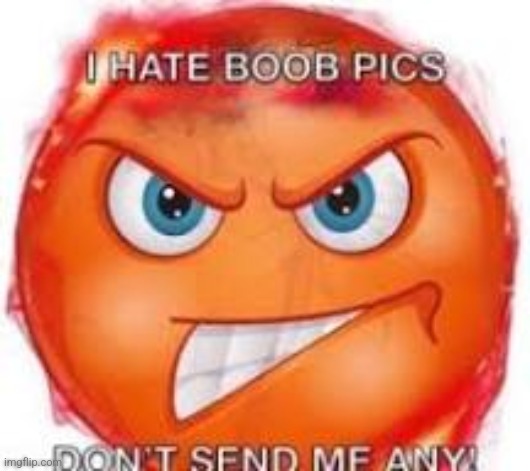 i hate boob pics don't send me any | image tagged in i hate boob pics don't send me any | made w/ Imgflip meme maker