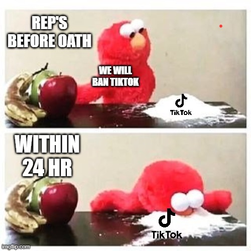 Trump | REP'S BEFORE OATH; WE WILL BAN TIKTOK; WITHIN 24 HR | image tagged in elmo cocaine | made w/ Imgflip meme maker