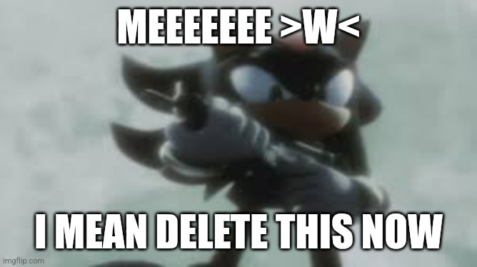 Shadow the hedgehog with a gun | MEEEEEEE >W< I MEAN DELETE THIS NOW | image tagged in shadow the hedgehog with a gun | made w/ Imgflip meme maker