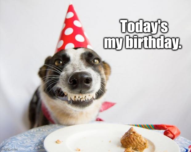 Yippee | Today's my birthday. | image tagged in birthday dog,happy birthday | made w/ Imgflip meme maker