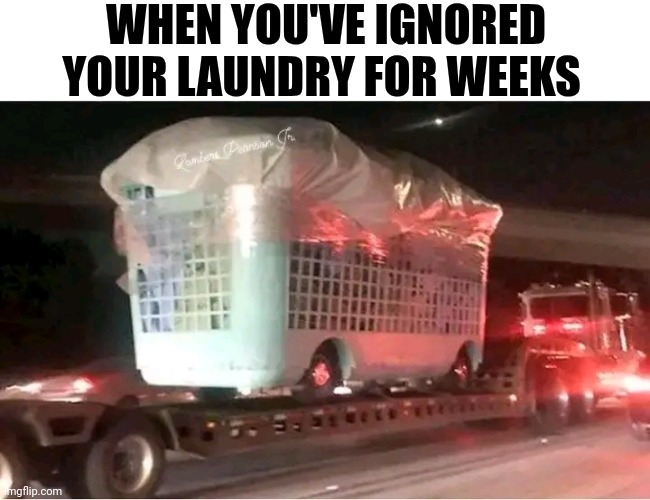 When You've Ignored Your Laundry For Weeks | WHEN YOU'VE IGNORED YOUR LAUNDRY FOR WEEKS | image tagged in chris joines | made w/ Imgflip meme maker