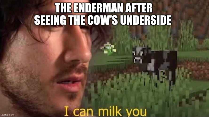 I can milk you (template) | THE ENDERMAN AFTER SEEING THE COW’S UNDERSIDE | image tagged in i can milk you template | made w/ Imgflip meme maker