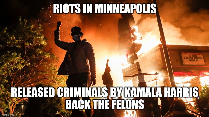 BLM Riots | RIOTS IN MINNEAPOLIS RELEASED CRIMINALS BY KAMALA HARRIS
BACK THE FELONS | image tagged in blm riots | made w/ Imgflip meme maker