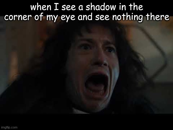 PANICPANICPANICPANIC- | when I see a shadow in the corner of my eye and see nothing there | image tagged in eddie munson,home alone,scary | made w/ Imgflip meme maker