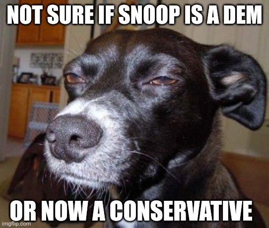 High dog | NOT SURE IF SNOOP IS A DEM OR NOW A CONSERVATIVE | image tagged in high dog | made w/ Imgflip meme maker