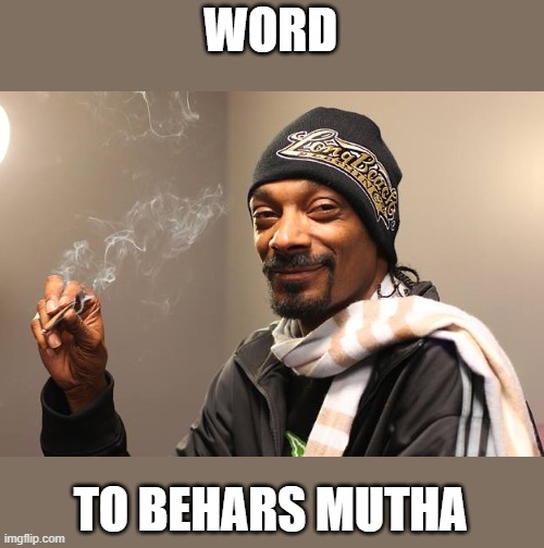 Snoop Dogg | WORD TO BEHARS MUTHA | image tagged in snoop dogg | made w/ Imgflip meme maker