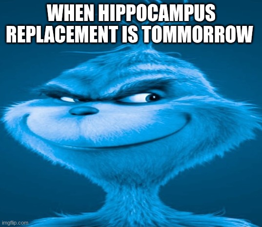 Blue Grinch | WHEN HIPPOCAMPUS REPLACEMENT IS TOMMORROW | image tagged in blue grinch | made w/ Imgflip meme maker