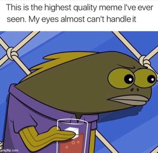 quality | image tagged in quality | made w/ Imgflip meme maker