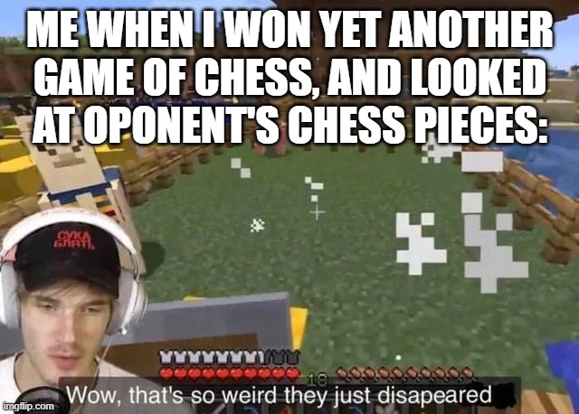 srsly, im good at chess | ME WHEN I WON YET ANOTHER GAME OF CHESS, AND LOOKED AT OPONENT'S CHESS PIECES: | image tagged in they just disappeared | made w/ Imgflip meme maker