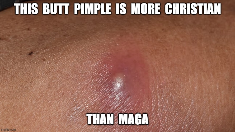 Pewsore | THIS  BUTT  PIMPLE  IS  MORE  CHRISTIAN; THAN  MAGA | image tagged in church sign | made w/ Imgflip meme maker