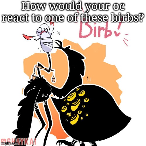 How would your oc react to one of these birbs? | made w/ Imgflip meme maker