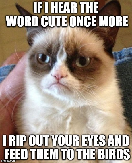 Grumpy Cat Meme | IF I HEAR THE WORD CUTE ONCE MORE I RIP OUT YOUR EYES AND FEED THEM TO THE BIRDS | image tagged in memes,grumpy cat | made w/ Imgflip meme maker