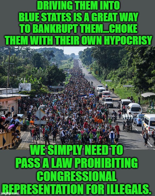 yep | DRIVING THEM INTO BLUE STATES IS A GREAT WAY TO BANKRUPT THEM...CHOKE THEM WITH THEIR OWN HYPOCRISY; WE SIMPLY NEED TO PASS A LAW PROHIBITING CONGRESSIONAL REPRESENTATION FOR ILLEGALS. | image tagged in immigrant caravan | made w/ Imgflip meme maker