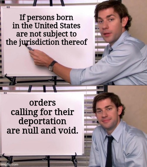 It's called the 14th Amendment magats. | If persons born in the United States are not subject to the jurisdiction thereof; orders calling for their deportation are null and void. | image tagged in jim halpert explains | made w/ Imgflip meme maker