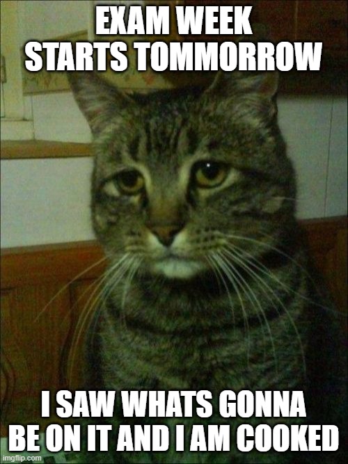 chat am i cooked? | EXAM WEEK STARTS TOMMORROW; I SAW WHATS GONNA BE ON IT AND I AM COOKED | image tagged in memes,depressed cat | made w/ Imgflip meme maker