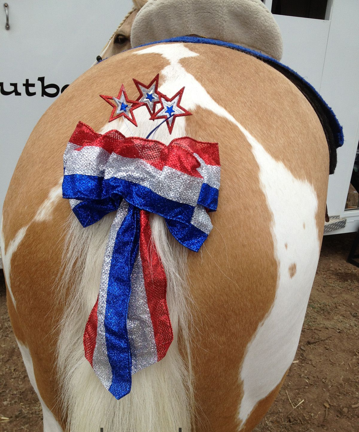 Horse tail ass patriotic USA Blank Meme Template