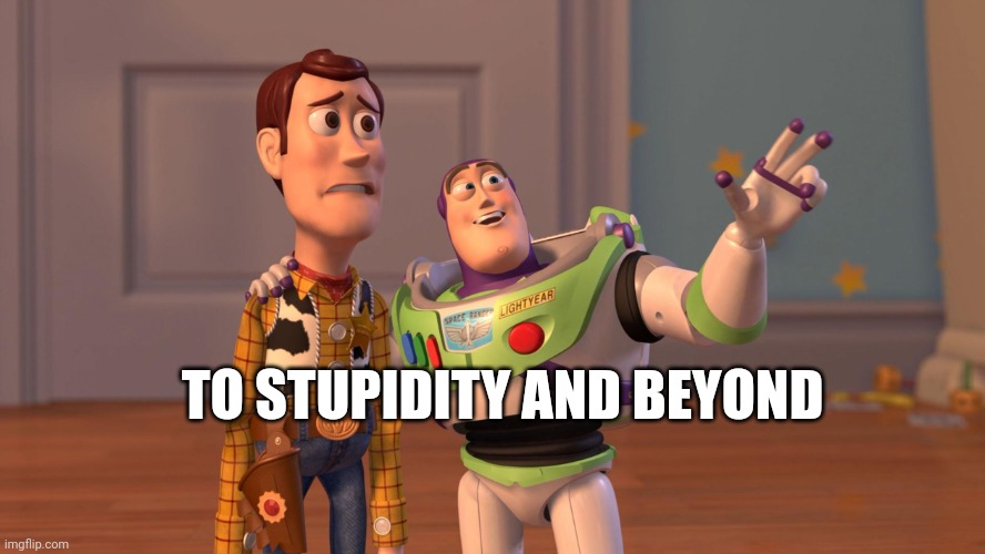 To stupidity | TO STUPIDITY AND BEYOND | image tagged in woody and buzz lightyear everywhere widescreen | made w/ Imgflip meme maker