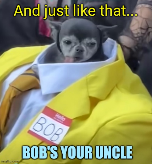 And just like that... BOB'S YOUR UNCLE | image tagged in bob,dog,bob's your uncle | made w/ Imgflip meme maker