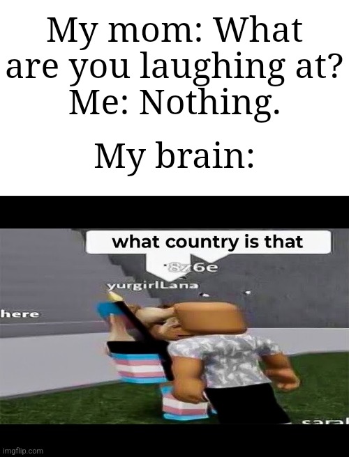 Uhhh I don't think that's a country | My mom: What are you laughing at?
Me: Nothing. My brain: | image tagged in what country is that,memes,funny,roblox | made w/ Imgflip meme maker