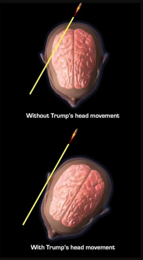 trump head movement Blank Meme Template