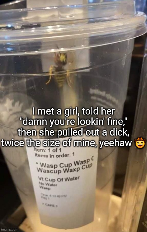 Wasp cup Wasp cup Wasp cup Wasp cup Wasp cup Wasp cup Wasp cup | I met a girl, told her "damn you're lookin' fine," then she pulled out a dick, twice the size of mine, yeehaw 🤠 | image tagged in wasp cup wasp cup wasp cup wasp cup wasp cup wasp cup wasp cup | made w/ Imgflip meme maker