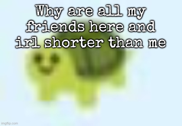 Like even König is shorter than me by a lot | Why are all my friends here and irl shorter than me | image tagged in low quality turtle,msmg | made w/ Imgflip meme maker