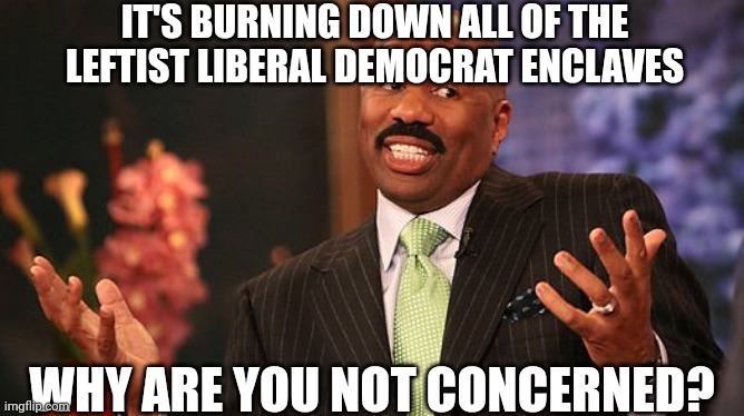 shrug | IT'S BURNING DOWN ALL OF THE LEFTIST LIBERAL DEMOCRAT ENCLAVES WHY ARE YOU NOT CONCERNED? | image tagged in shrug | made w/ Imgflip meme maker