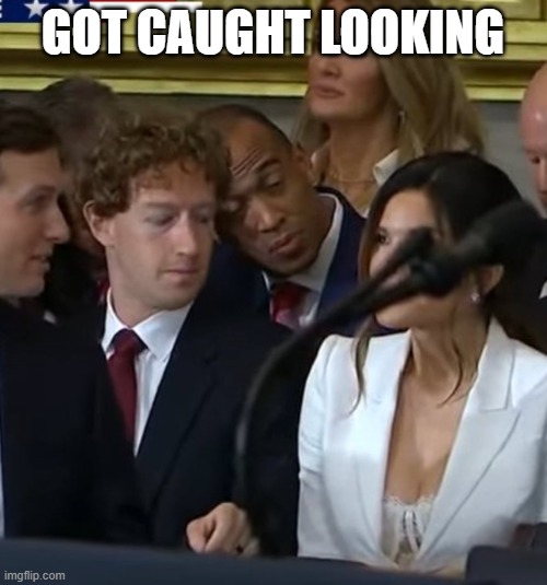 Zuckerberg looking at boobs | GOT CAUGHT LOOKING | image tagged in zuckerberg looking at boobs | made w/ Imgflip meme maker