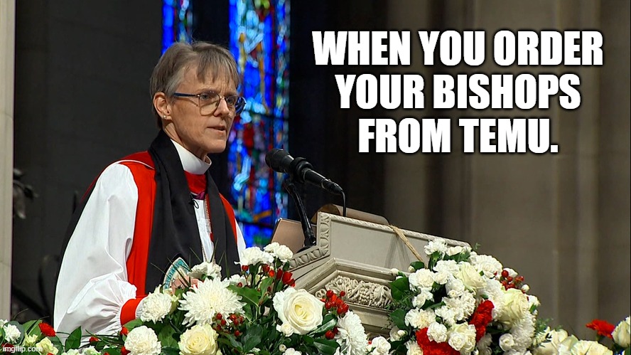 When you order from TEMU. | WHEN YOU ORDER
YOUR BISHOPS
FROM TEMU. | image tagged in bishop mariann budde,woke,trump,liberals | made w/ Imgflip meme maker