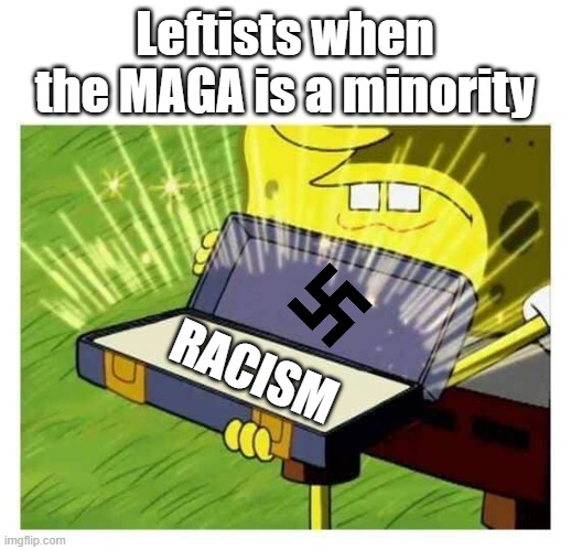 The truth | Leftists when the MAGA is a minority; RACISM | image tagged in spongebob box | made w/ Imgflip meme maker