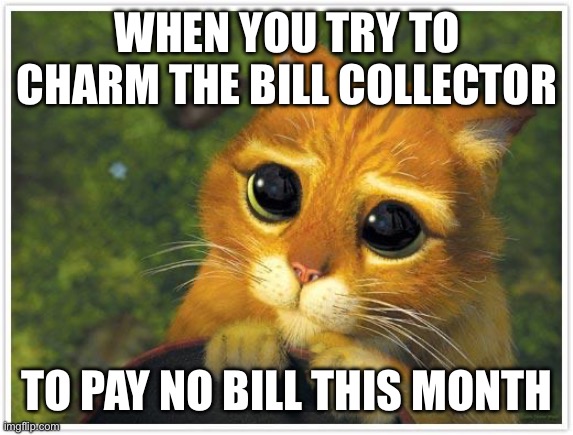 Public enemy? BILLS!!! | WHEN YOU TRY TO CHARM THE BILL COLLECTOR; TO PAY NO BILL THIS MONTH | image tagged in memes,shrek cat | made w/ Imgflip meme maker