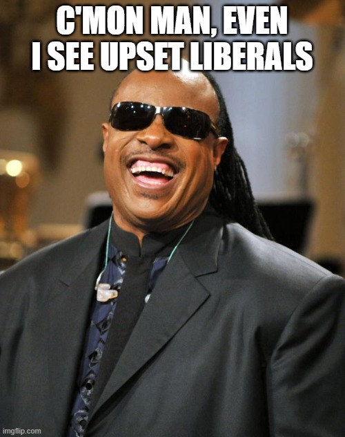 Stevie Wonder | C'MON MAN, EVEN I SEE UPSET LIBERALS | image tagged in stevie wonder | made w/ Imgflip meme maker