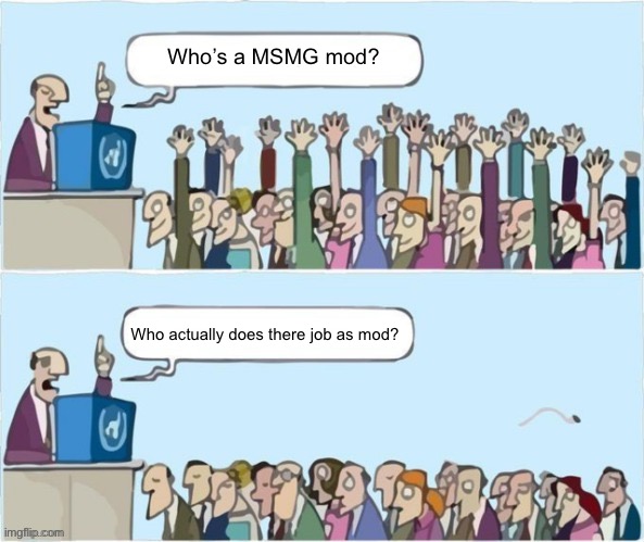 . | Who’s a MSMG mod? Who actually does there job as mod? | image tagged in people raising hands | made w/ Imgflip meme maker