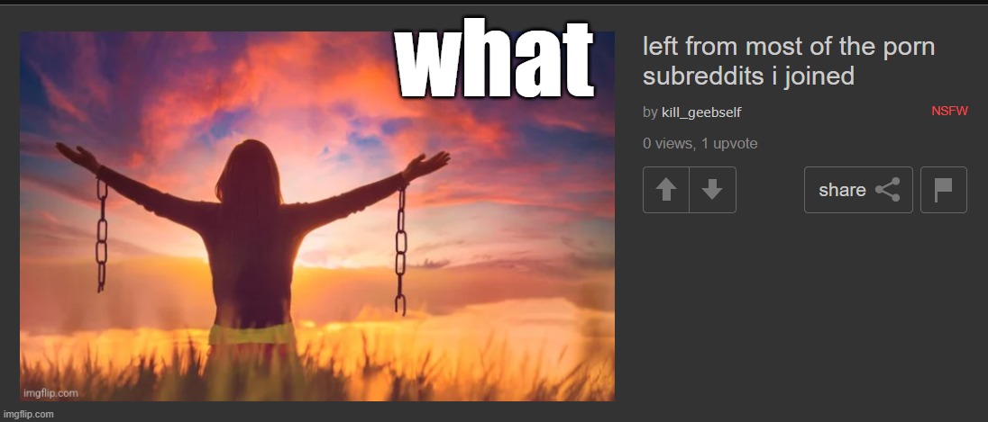 what | made w/ Imgflip meme maker