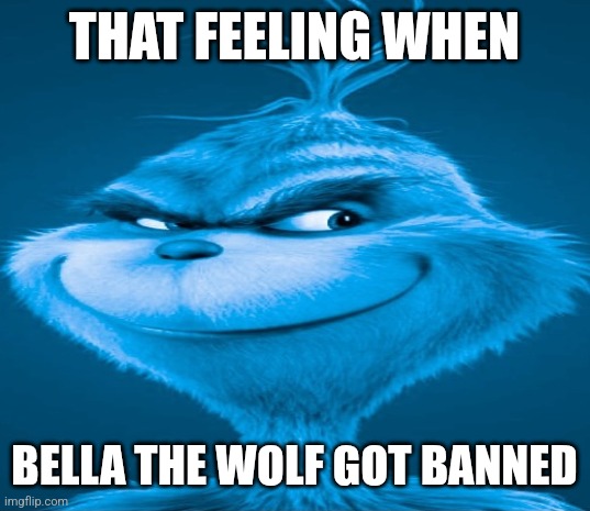 Blue Grinch | THAT FEELING WHEN; BELLA THE WOLF GOT BANNED | image tagged in blue grinch | made w/ Imgflip meme maker