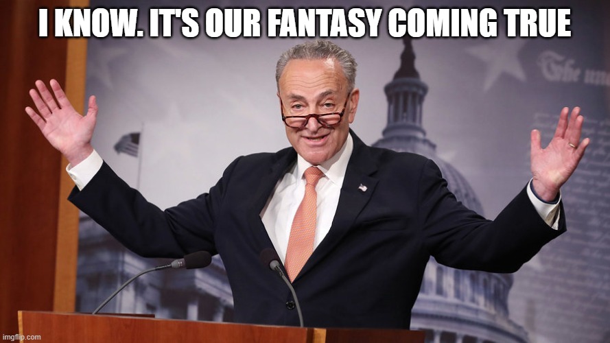 Chuck Schumer | I KNOW. IT'S OUR FANTASY COMING TRUE | image tagged in chuck schumer | made w/ Imgflip meme maker