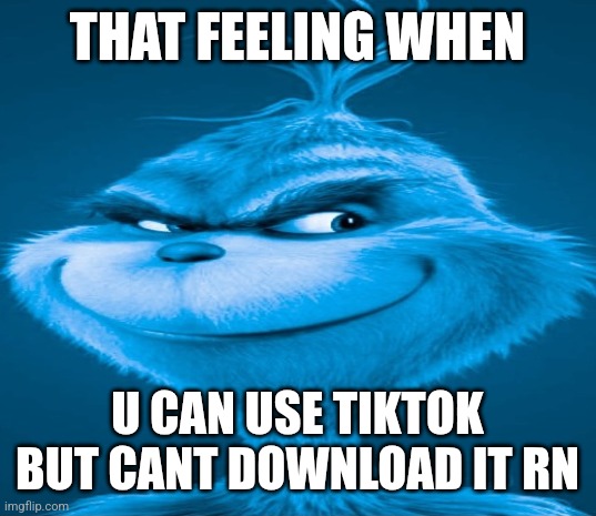 Easy fix is an apk, i downloaded a no ads mod apk | THAT FEELING WHEN; U CAN USE TIKTOK BUT CANT DOWNLOAD IT RN | image tagged in blue grinch | made w/ Imgflip meme maker