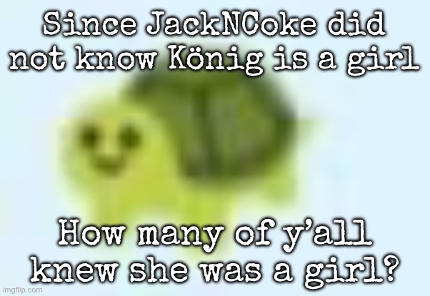 That’s why I always called them a she | Since JackNCoke did not know König is a girl; How many of y’all knew she was a girl? | image tagged in low quality turtle,msmg | made w/ Imgflip meme maker